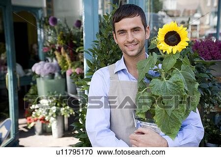 Stock Image - Male florist standing outside his shop, holding a potted sunflower. Fotosearch