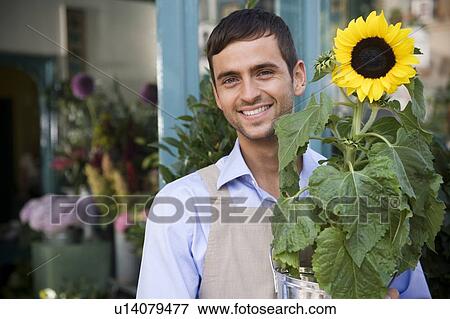 Stock Photo - Male florist standing outside his shop, holding a potted sunflower. Fotosearch