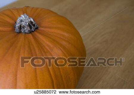 Orange Hallowe'en pumpkin View Large Photo Image Stock Image - Orange Hallowe'en pumpkin. Fotosearch