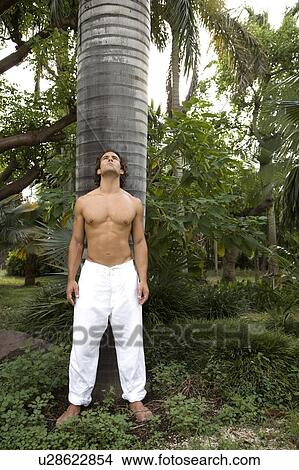 Picture - Portrait of a toned muscular man standing in a garden wearing white linen trousers. Fotosearch