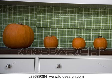 Row of orange Hallowe'en pumpkins on a kitchen counter View Large Photo Image Picture - Row of orange Hallowe'en pumpkins on a kitchen counter. Fotosearch