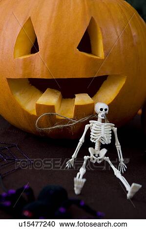 Stock Image - Still life of Jack'o Lantern and plastic toy skeleton for Halloween . Fotosearch
