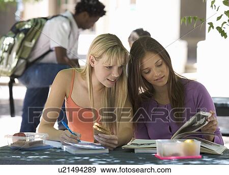 Two university students helping each other with revision View Large Photo Image Stock Photo - Two university students helping each other with revision. Fotosearch