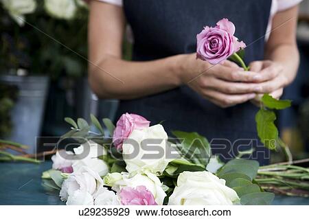 Stock Photo - Woman florist creating a bouquet of pink and white roses. Fotosearch