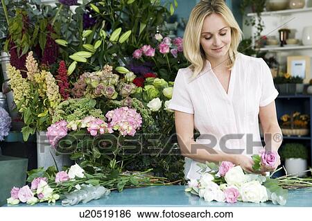 Stock Photograph - Woman florist creating a bouquet of pink and white roses. Fotosearch
