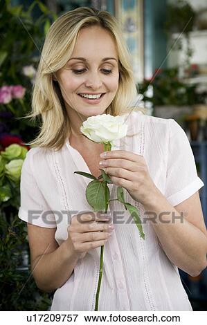 Woman florist in her shop, holding a white rose View Large Photo Image Stock Photo - Woman florist in her shop, holding a white rose. Fotosearch