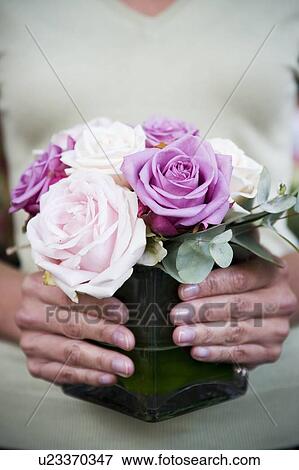 Woman holding a square vase of pink roses  View Large Photo Image Stock Photo - Woman holding a square vase of pink roses . Fotosearch