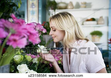 Woman in a florist's shop, smelling a white rose View Large Photo Image Picture - Woman in a florist's shop, smelling a white rose. Fotosearch