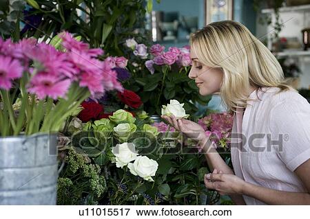 Woman in a florist's shop, smelling a white rose View Large Photo Image Stock Photo - Woman in a florist's shop, smelling a white rose. Fotosearch