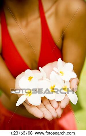 Stock Photo - Woman in a tropical setting holding frangipani.. Fotosearch