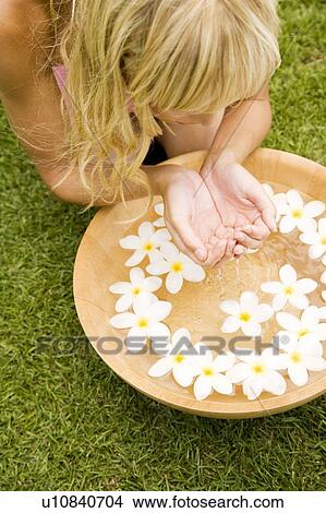 Woman with a bowl of floating frangipani in a tropical setting. View Large Photo Image Picture - Woman with a bowl of floating frangipani in a tropical setting.. Fotosearch