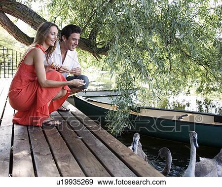 Young couple feeding swans View Large Photo Image Stock Photo - Young couple feeding swans. Fotosearch