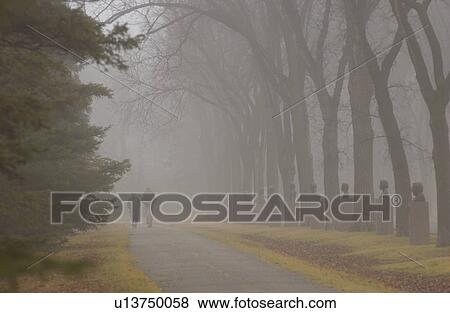 autumn fog in Assiniboine Park, Winnipeg, Manitoba View Large Photo Image Stock Photo - autumn fog in Assiniboine Park, Winnipeg, Manitoba. Fotosearch