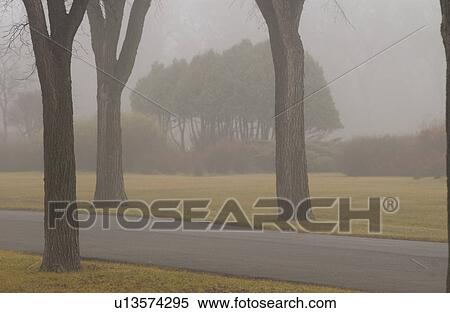 autumn fog in Assiniboine Park, Winnipeg, Manitoba View Large Photo Image Stock Photography - autumn fog in Assiniboine Park, Winnipeg, Manitoba. Fotosearch