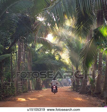 Back of motorcycle going down road View Large Photo Image Stock Photo - Back of motorcycle going down road. Fotosearch