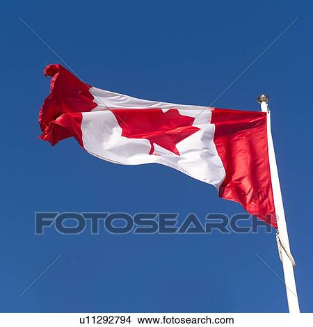 Canadian Flag Toronto Ontario Canada View Large Photo Image Picture - Canadian Flag Toronto Ontario Canada. Fotosearch