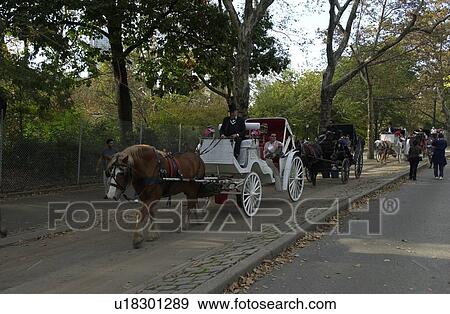 Stock Photo - Central Park, New York City. Fotosearch