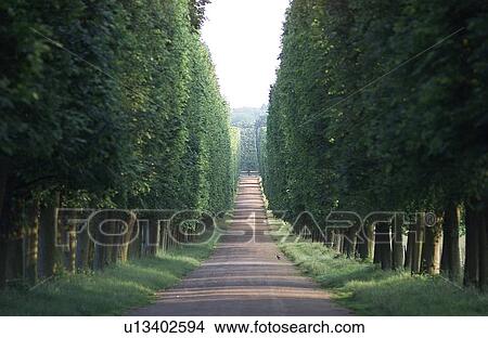 Picture - Chateau de Versailles, France. Fotosearch