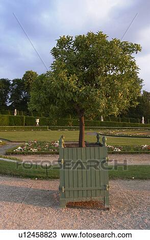 Stock Image - Chateau de Versailles, France. Fotosearch
