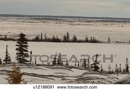 Churchill Northern Manitoba town and surroundings landscape View Large Photo Image Stock Image - Churchill Northern Manitoba town and surroundings landscape. Fotosearch