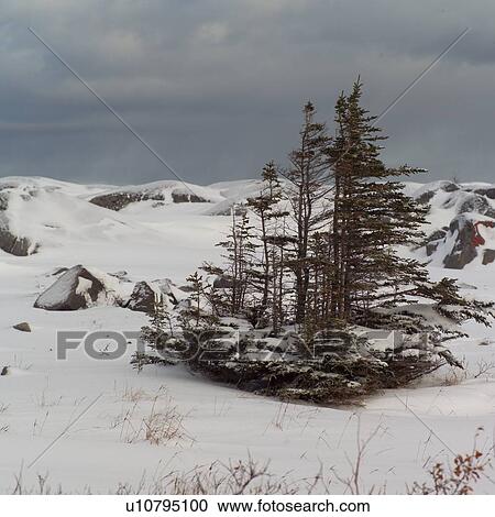 Churchill Northern Manitoba Tundra Lanscape View Large Photo Image Stock Image - Churchill Northern Manitoba Tundra Lanscape. Fotosearch