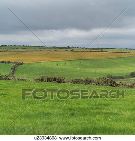 Stock Photo - Countryside Farmland. Fotosearch