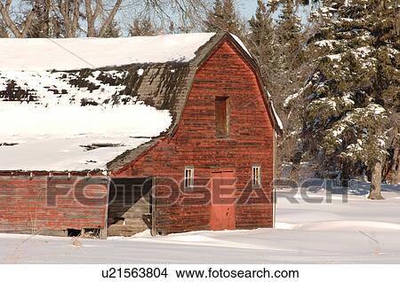 Derelict Barn on Farm in Alberta Canada View Large Photo Image Picture - Derelict Barn on Farm in Alberta Canada. Fotosearch