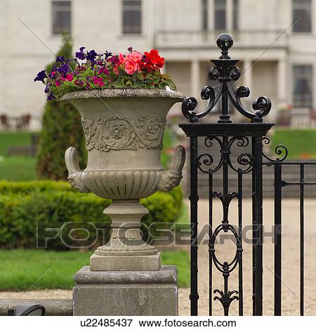 Stock Photo - Dublin, Ireland - Urn with flowers. Fotosearch