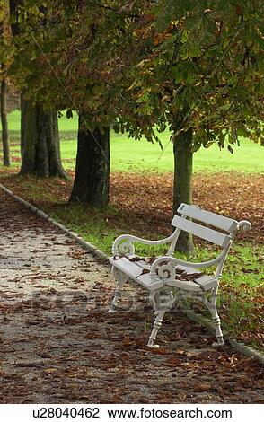 Stock Image - Empty park bench in Slovenia. Fotosearch