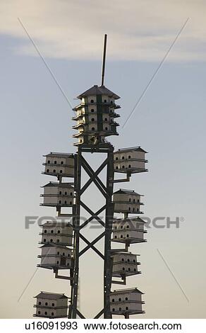 Gimli, Manitoba View Large Photo Image Stock Image - Gimli, Manitoba. Fotosearch