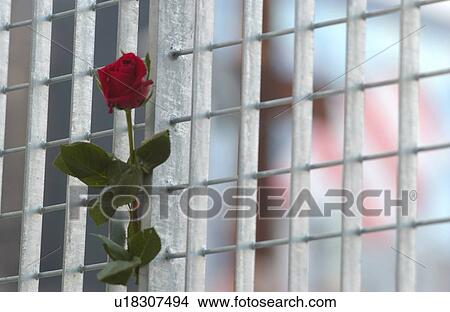 Picture - Ground Zero, New York City. Fotosearch
