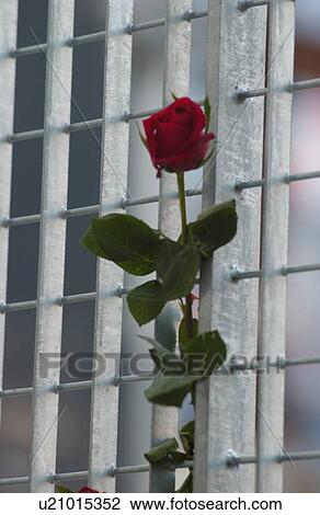 Stock Image - Ground Zero, New York City. Fotosearch