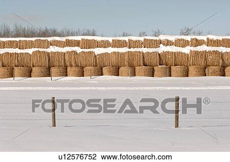 Stock Image - Haystack on Field in Alberta Canada. Fotosearch