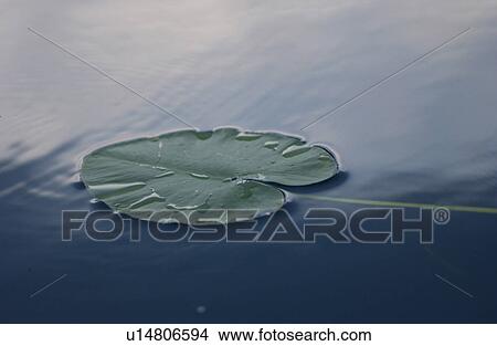 Picture - Lake Photography. Fotosearch
