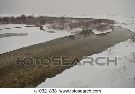 Landscape in Churchill Manitoba Canada North View Large Photo Image Stock Photo - Landscape in Churchill Manitoba Canada North. Fotosearch