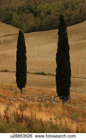 Landscape Trees View Large Photo Image Stock Photograph - Landscape Trees. Fotosearch