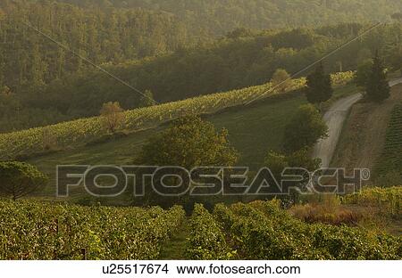 Landscapes View Large Photo Image Picture - Landscapes. Fotosearch