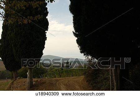 Stock Photo - Landscapes - Tuscany, Italy. Fotosearch