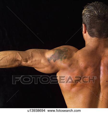 Picture - Male bodybuilder posing. Fotosearch