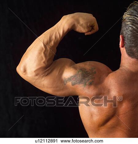 Stock Image - Male bodybuilder posing. Fotosearch