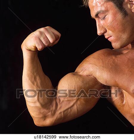 Stock Photo - Male bodybuilder posing. Fotosearch