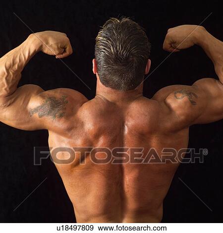 Stock Photo - Male bodybuilder posing. Fotosearch
