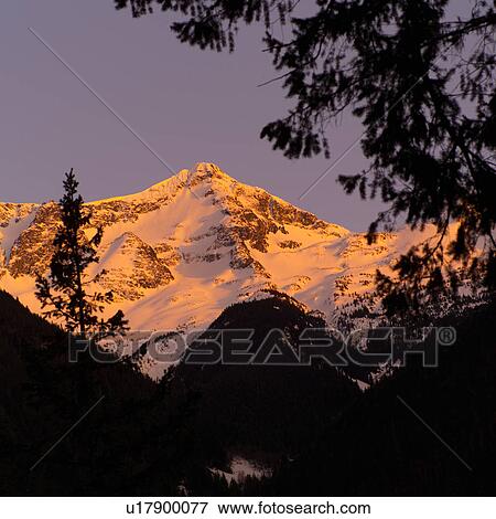 Nature trails in British Columbia. Canada View Large Photo Image Stock Photo - Nature trails in British Columbia. Canada. Fotosearch