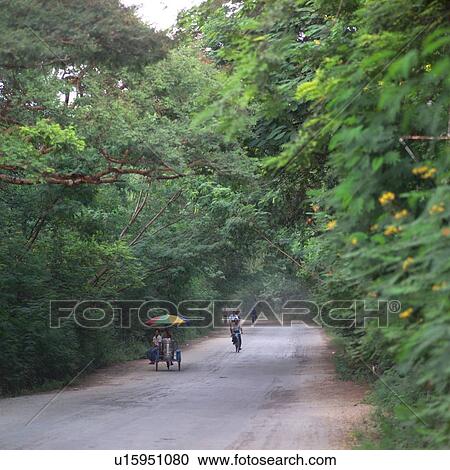 Stock Image - People traveling down a tree lined road. Fotosearch