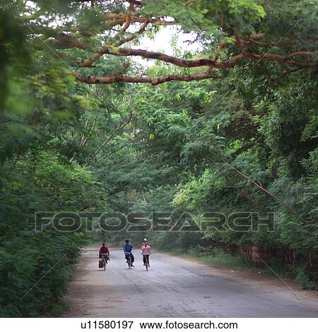 People traveling down a tree lined road View Large Photo Image Stock Photo - People traveling down a tree lined road. Fotosearch