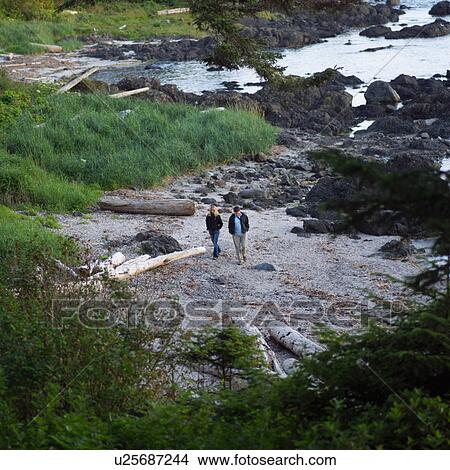 People walking along beach, Pacific Rim Park, Vancouver Island, Canada View Large Photo Image Picture - People walking along beach, Pacific Rim Park, Vancouver Island, Canada. Fotosearch