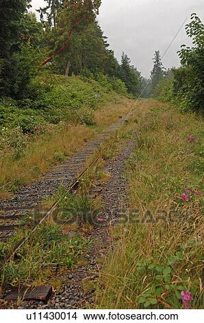 Railroad tracks, Shawnigan Lake, Vancouver Island, Canada View Large Photo Image Picture - Railroad tracks, Shawnigan Lake, Vancouver Island, Canada. Fotosearch