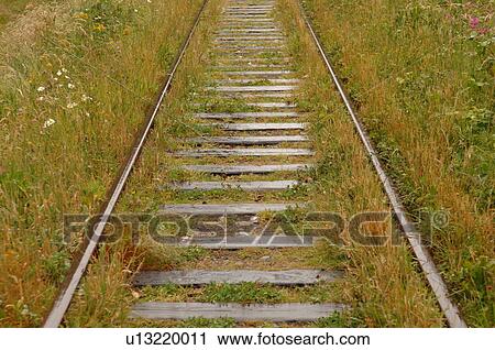 Stock Image - Railroad tracks, Shawnigan Lake, Vancouver Island, Canada. Fotosearch