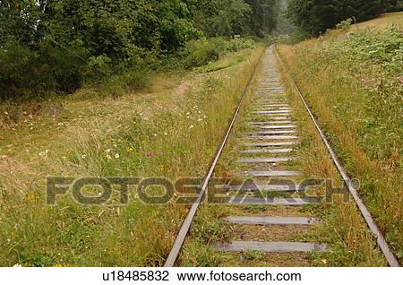Stock Image - Railroad tracks, Shawnigan Lake, Vancouver Island, Canada. Fotosearch