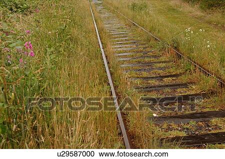 Stock Image - Railroad tracks, Shawnigan Lake, Vancouver Island, Canada. Fotosearch